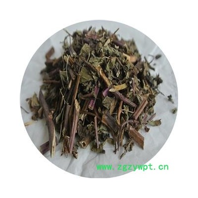 薄荷 红杆薄荷 统片 产地 四川省