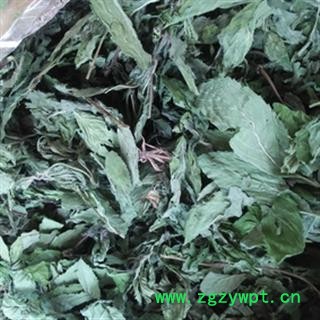 安祁名药优质花茶 薄荷叶  真实拍照 手选新货图2