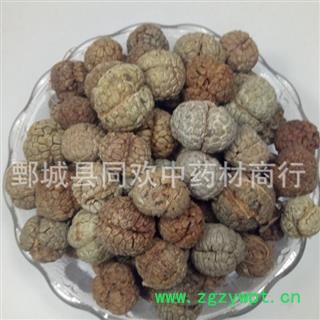 【海南草豆蔻】@【同欢药材】中药材批发供应  规格齐全 量大从优  产地 海南省图2