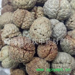 【海南草豆蔻】@【同欢药材】中药材批发供应  规格齐全 量大从优  产地 海南省图3