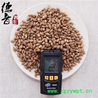 【满包邮】苍耳子 选 产地内蒙 1000g 中药材批发 规格齐全图2