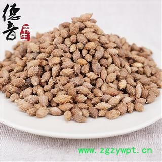 【满包邮】苍耳子 选 产地内蒙 1000g 中药材批发 规格齐全图4