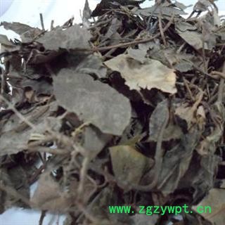 波叶紫金牛 正品保证质量7天无理由退货退款 中药材批发 丽丽药业图4