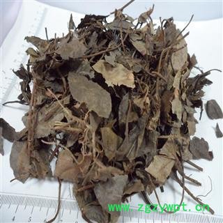 波叶紫金牛 正品保证质量7天无理由退货退款 中药材批发 丽丽药业图2