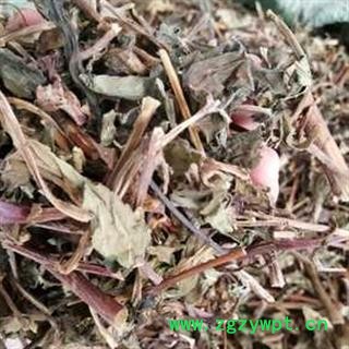 新辉药业中药材败酱草 黄花败酱草图2