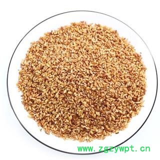 【去壳】中药材柏子仁 秦岭野生 日晒无硫 味浓500g图2