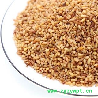 【去壳】中药材柏子仁 秦岭野生 日晒无硫 味浓500g图4