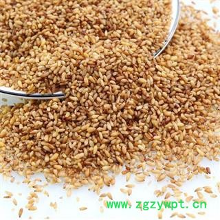 【去壳】中药材柏子仁 秦岭野生 日晒无硫 味浓500g图3