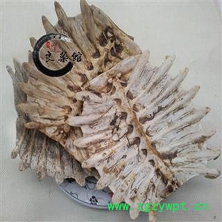 鳖甲陈货统货 药典标准 地道良药1000克直销图4