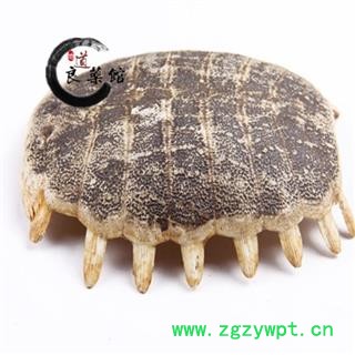 鳖甲陈货统货 药典标准 地道良药1000克直销图3