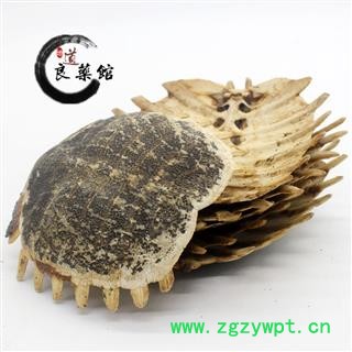 鳖甲 制鳖甲统货 产地 河南省药典标准  地道良药馆1000克直销图2