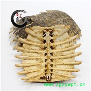 鳖甲 制鳖甲统货 产地 河南省药典标准  地道良药馆1000克直销图4