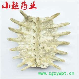 鳖甲 01 鳖甲 统 产地 海南省海口市秀英区图3