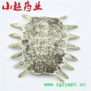 鳖甲 01 鳖甲 统 产地 海南省海口市秀英区图2