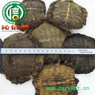 【满包邮】制血鳖甲整块带肉统货散装产地直供沁信源中药批发图2