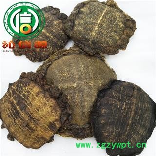 【满包邮】制血鳖甲整块带肉统货散装产地直供沁信源中药批发图4