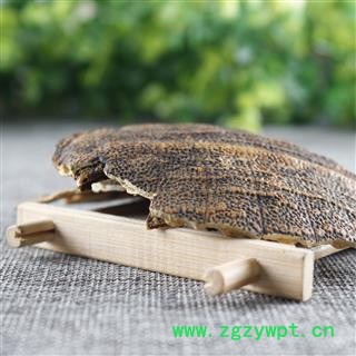 【满298元包邮】鳖甲 鳖甲统货 好货不掺骨头产地 河南省 一公斤一袋图2