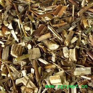 圣草康园蓍草 追风草 生一支蒿  蜈蚣草  飞天蜈蚣产地 云南省图2