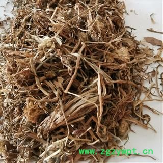 瑞森药材行中药材飞天蜈蚣 蜈蚣草、神仙对坐草、石上蜈蚣、落地蜈蚣、百足草 铁斑鸠、巴岩姜图3