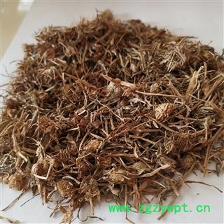 瑞森药材行中药材飞天蜈蚣 蜈蚣草、神仙对坐草、石上蜈蚣、落地蜈蚣、百足草 铁斑鸠、巴岩姜图4