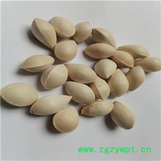 白果 个白果统货 产地 江苏省常州市戚墅堰区图3