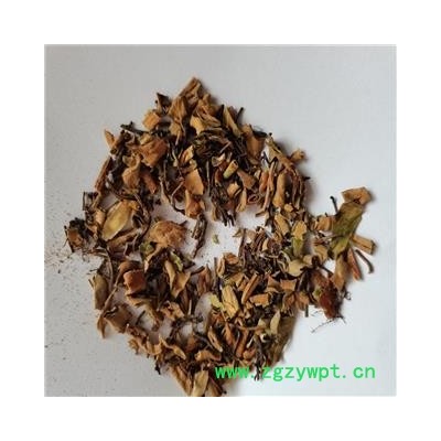 壁虎 统 产地 云南省保山市