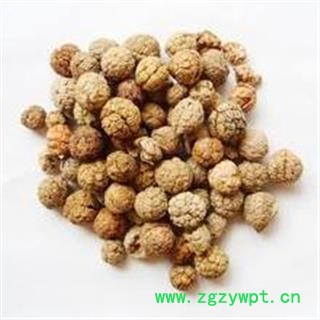 草豆蔻 云南草豆蔻统货 产地 云南省  产地直销图2