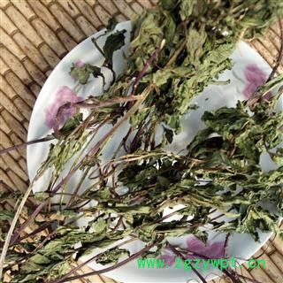 野薄荷 精选 产地 河南省平顶山市汝州市图3