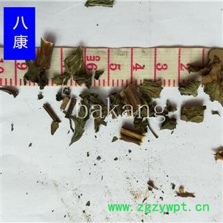 薄荷 薄荷 02统图3