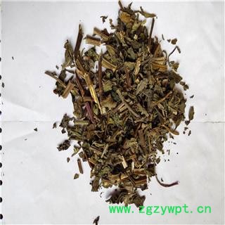 薄荷 薄荷 02统图2