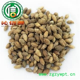 【满包邮】苍耳子统货散装产地直供毛苍子沁信源中药批发图2