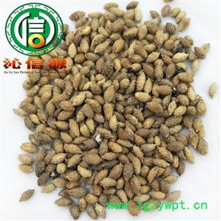 【满包邮】苍耳子统货散装产地直供毛苍子沁信源中药批发图4