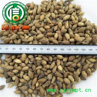 【满包邮】苍耳子统货散装产地直供毛苍子沁信源中药批发图3