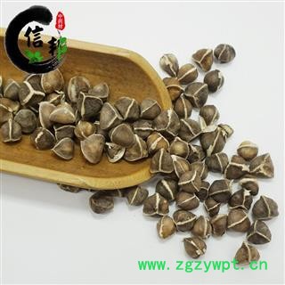 辣木子辣木子印度辣木籽中个产地直销一手货源专注品质，诚信信邦！图4