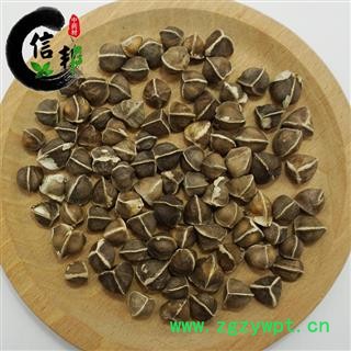 辣木子辣木子印度辣木籽中个产地直销一手货源专注品质，诚信信邦！图3