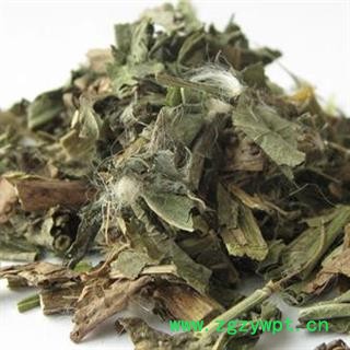 败酱 山东地产败酱草 大货直销 今年新货 为冲销量 货好价优图2