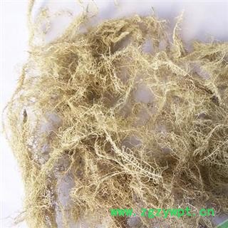 圣草康园云雾草 长松萝,老君须,天蓬草 统 产地云南图2