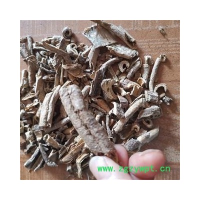 瑞森药材行中药材飞天蜈蚣 飞天蜈蚣七