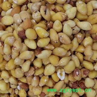 白果 白果仁 统 产地 江苏省 产地直销 重在质量图2