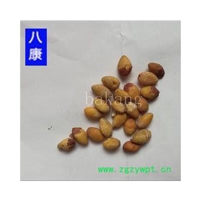 白果 白果仁统货 产地 江苏省苏州市金阊区