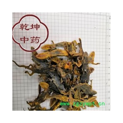 天龙  壁虎  统货，高含量 产地 海外【品种齐全 诚信经营】