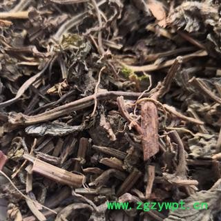 筋骨草 中药材筋骨草统段 产地 河北省安国市场批发零售大全图2