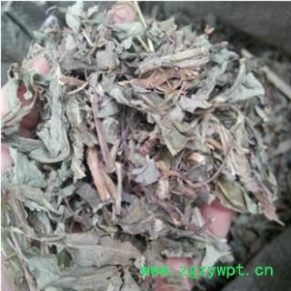 败酱草 黄花败酱统段 产地 山东省图3