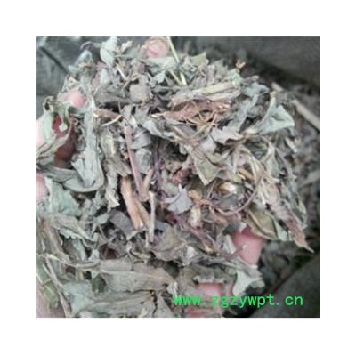 败酱草 黄花败酱统段 产地 山东省