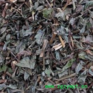 败酱草 统 产地 山东省