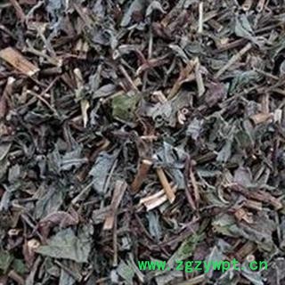 败酱草 统 产地 山东省图2