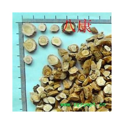 板蓝根 02片 产地 辽宁省抚顺市新宾满族自治县