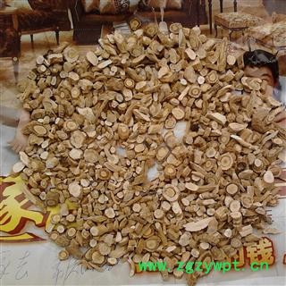 板蓝根 02片 产地 辽宁省抚顺市新宾满族自治县图2