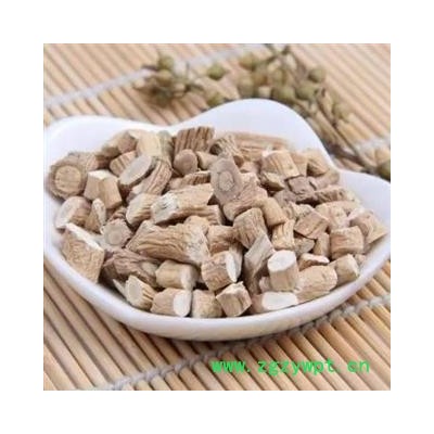 板蓝根 中选货 产地 山东省 产地直销 重在质量