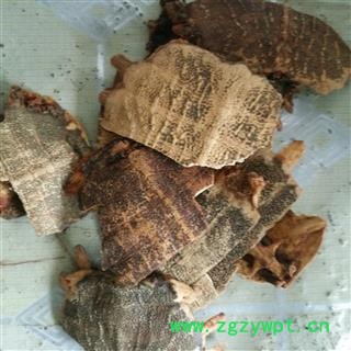 鳖甲 鳖甲净货 产地 福建省图2